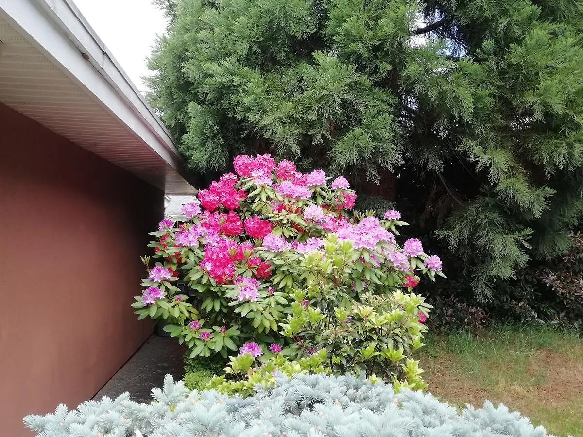 Homestay Lido Family Guest House Richmond